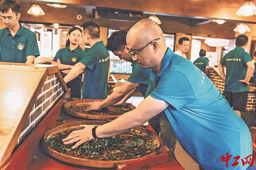 茶香四溢 福建武夷山茶葉加工工職業(yè)技能競(jìng)賽成功舉辦