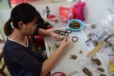 茂名沙垌村 以“一棵樹”為媒，茶香沉香共譜富民曲